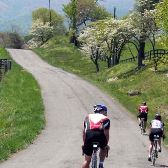 Shenandoah & the Virginias | Cycle of Life Adventures