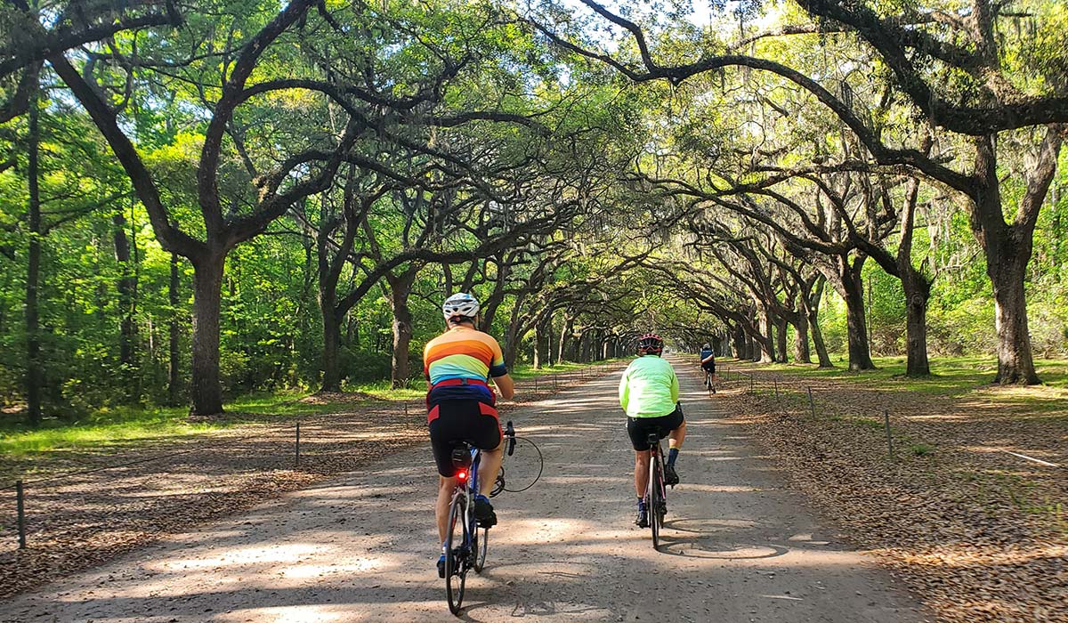 Charleston to Savannah Bike Tour